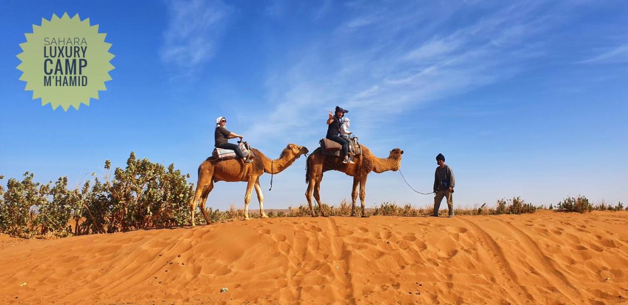 Готель Sahara Luxury Camp Vip Мерзуга Екстер'єр фото